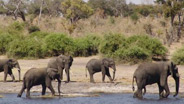 Zambia