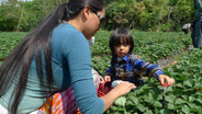 China: the one child big experiment