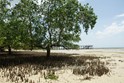 Zanzibar