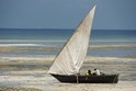 Zanzibar