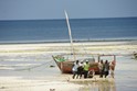 Zanzibar