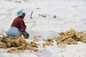 Zanzibar