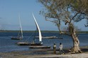 Zanzibar