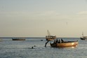 Zanzibar