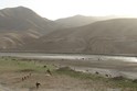 Afghanistan