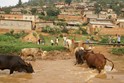 Rwanda - Africa