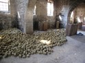 Syria