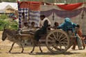 Pakistan, Floods 2010