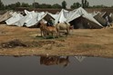 Pakistan, Floods 2010