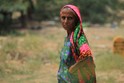 Pakistan, Floods 2010