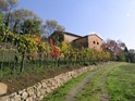 Italy - Tuscany