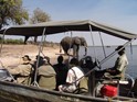 Zambia