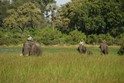 Botswana