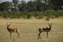 Botswana