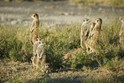 Botswana