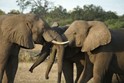 Botswana