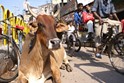 Varanasi - India