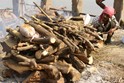 Varanasi - India