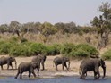 Zambia