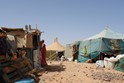 W. Sahara Oases Egypt