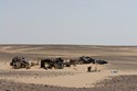 W. Sahara Oases Egypt