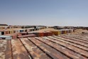 W. Sahara Oases Egypt