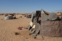 W. Sahara Oases Egypt