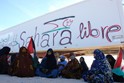 W. Sahara Oases Egypt
