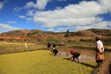 Madagascar: following the RN7