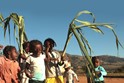 Madagascar: following the RN7