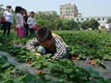 China: the one child big experiment