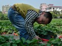 China: the one child big experiment