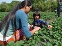 China: the one child big experiment